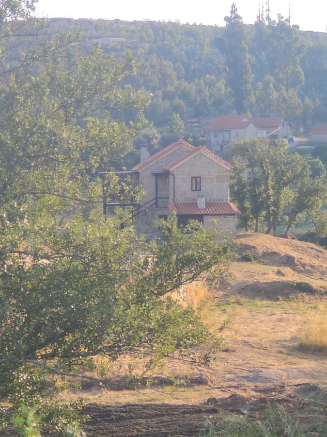 Apartament Quinta Da Adarnela Lagares da Beira Zewnętrze zdjęcie