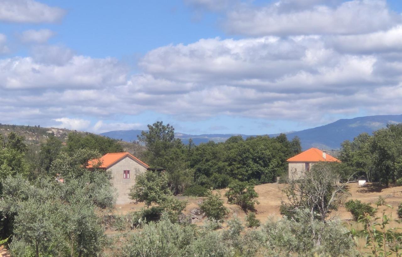 Apartament Quinta Da Adarnela Lagares da Beira Zewnętrze zdjęcie