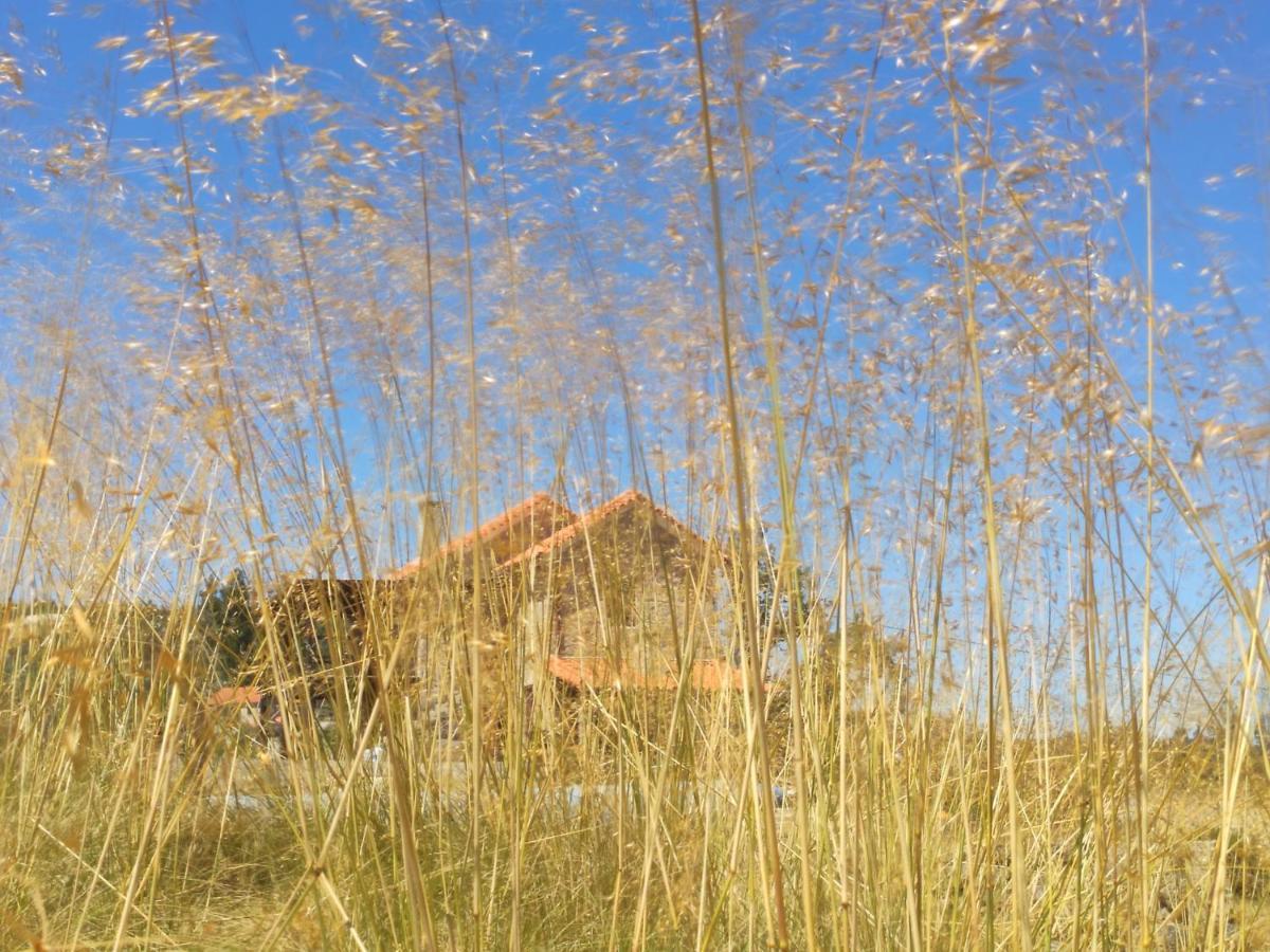 Apartament Quinta Da Adarnela Lagares da Beira Zewnętrze zdjęcie