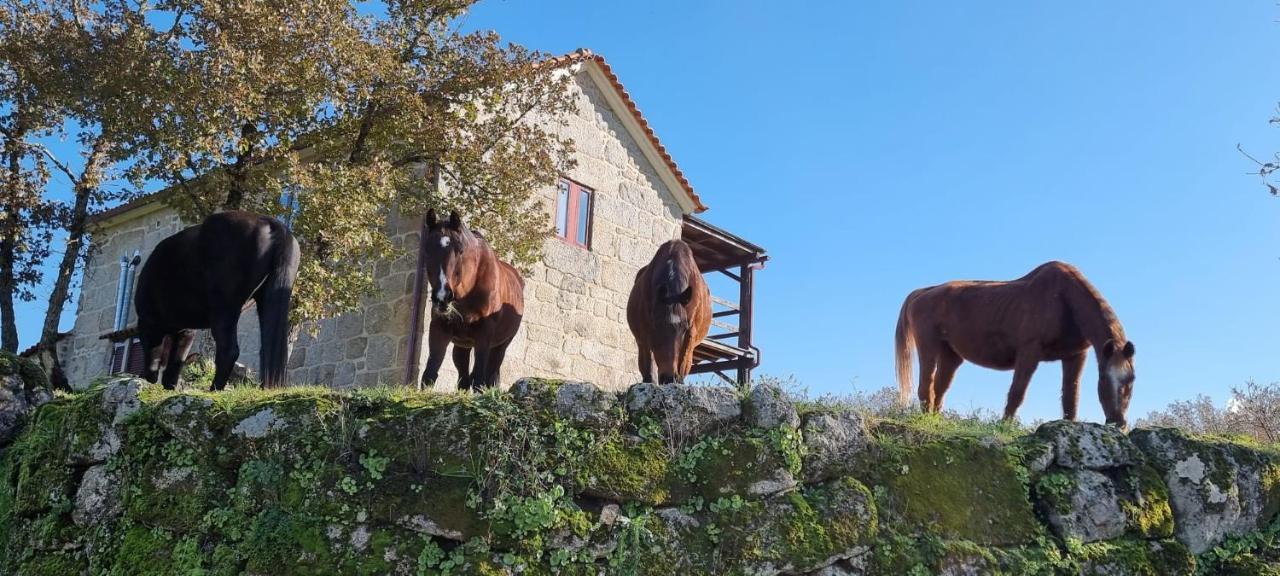 Apartament Quinta Da Adarnela Lagares da Beira Zewnętrze zdjęcie
